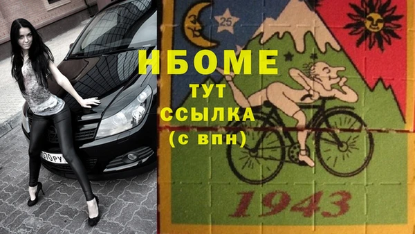индика Лабытнанги