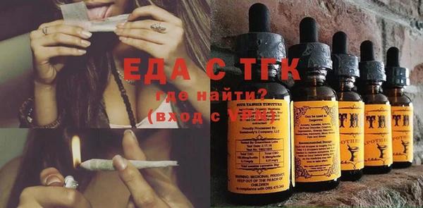 индика Лабытнанги
